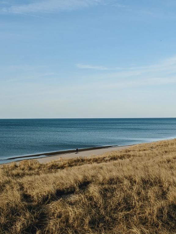 lake michigan shore