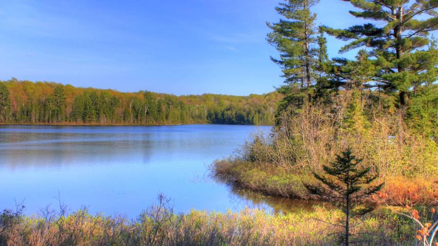 michigan-beaver-lake