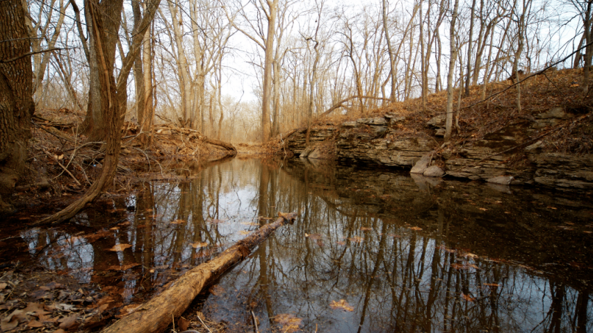 water river fall